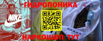 твердый Лесосибирск