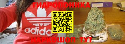 индика Кумертау