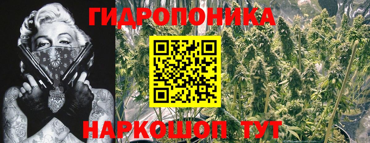 Шишки марихуана White Widow Елизово